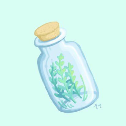 Bottle